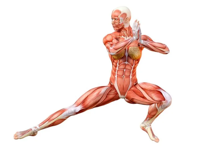 lateral lunge stretch